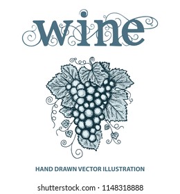 Grape and vine.  Hand written word wine with vine elements.
Letters connected with vine elements. Illustration of the wine theme.
