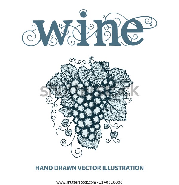 Grape and vine. Hand written word wine with vine elements.Letters