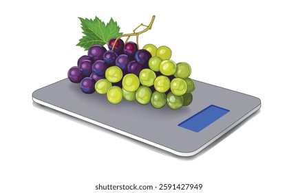 Grape Vine Kilo Scale, vector Illustration, isolated on a white background.