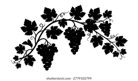 Grape vine with leaves and fruit black silhouette