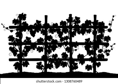 Grape Vine On Trellis Silhouette Vector