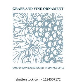Grape and vine ornament and background. 
Hand drawn grape and vine engraving style illustration. 
Bunch of grapes vector design element. 
Wine theme grape and vine vintage style design. 