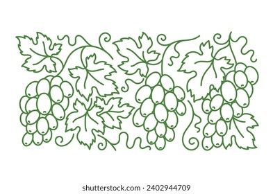 Grape vine pattern. Grape branches and leaves. Editable outline stroke. Vector line.