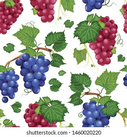 Grape vine seamless pattern and leaves on white background, Fresh organic food, Red and dark blue grape bunch pattern background, Fruit vector illustration.