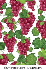 Grape vine seamless pattern and leaves on white background, Fresh organic food, Red grape bunch pattern background, Fruit vector illustration.