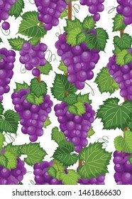Grape vine seamless pattern and leaves on white background, Fresh organic food, Purple grape bunch pattern background, Fruit vector illustration.