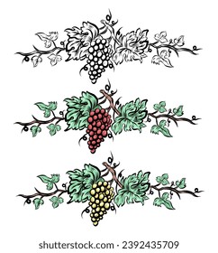 Grape vine set elements . Vintage  hand drawn wine decorations border, floral grapes . vector illustration