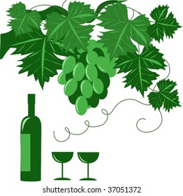 grape and vine vector