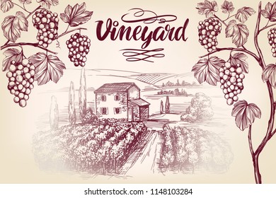 grape vine, Vineyard, grape , calligraphy text hand drawn vector illustration realistic sketch
