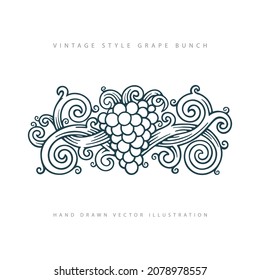 Grape and vine. Vintage engraving style grape and vine illustration. Grape hand drawn graphic. Part of set.