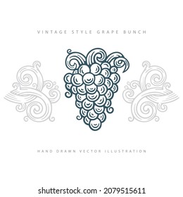 Grape and vine. Vintage engraving style grape and vine illustration. Grape hand drawn graphic. Part of set.