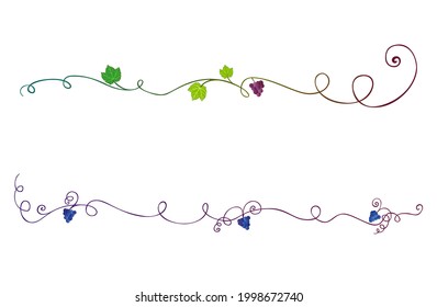 Grape vines decorations. Floral text dividers. Winerie decorations. Vines text dividers. Vineyard ornaments. Bunches of grapes. Climbing plants line. Viticulture decoration. Floral vine leaf border.