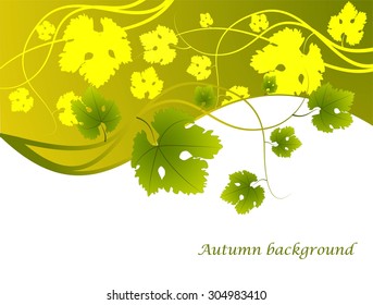 Grape vines, leaves, autumn background