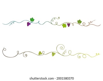 Grape vines ornaments. Floral text dividers. Winerie decorations. Vine line dividers. Vineyard decor. Bunches of grapes. Swirl plants border. Viticulture decoration. Vine leaves.