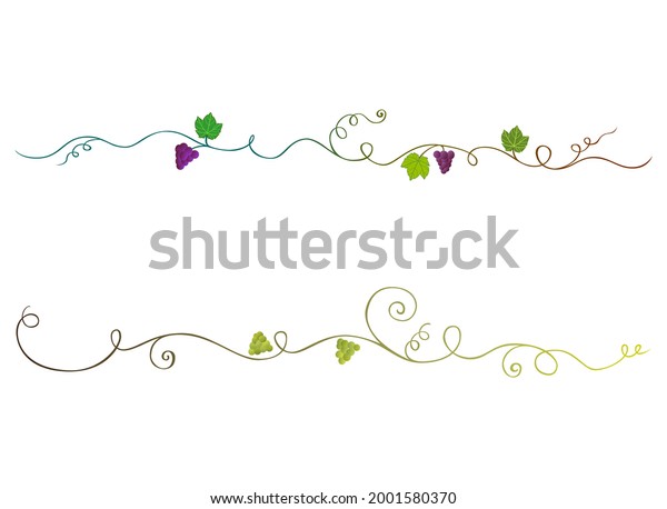 Grape vines\
ornaments. Floral text dividers. Winerie decorations. Vine line\
dividers. Vineyard decor. Bunches of grapes. Swirl plants border.\
Viticulture decoration. Vine\
leaves.