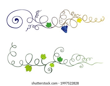 Grape vines ornaments. Grape text dividers. Winerie decorations. Floral text dividers. Vineyard ornaments and embellishments. Swirls and vines plants. Viticulture decoration. Floral vine leaf border.