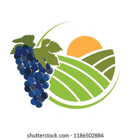 grape with vineyard in background. logo icon