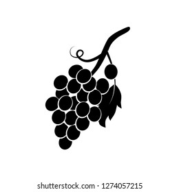 Grape, vineyard, fruit vector icon.