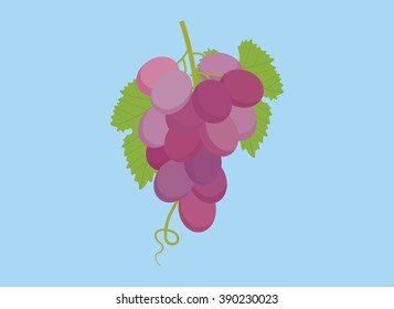 grape violet isolated with green leaf and blue background
