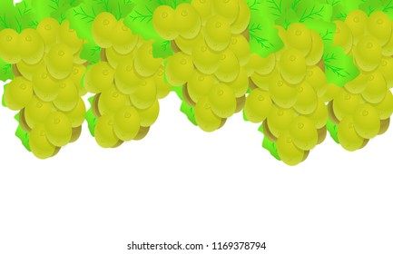 grape white grape