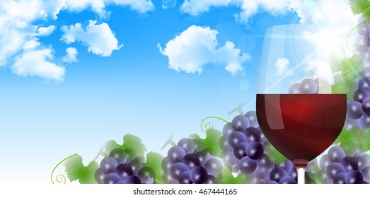 Grape wine autumn background