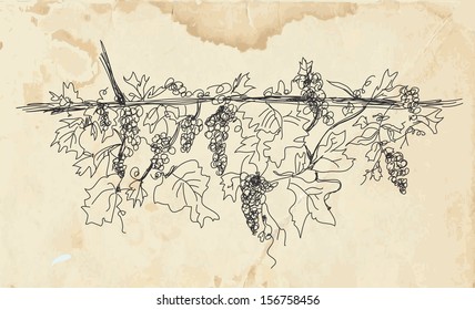 Grape wine banner on the paper texture