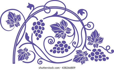 Grape wine branches ornament vector illustration as wine theme design element. 
