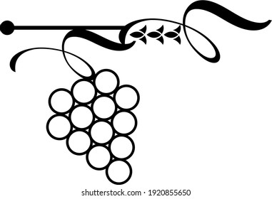 Grape wine brunch  decorative element for design