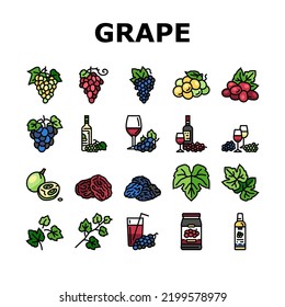 Rebwein-Haufen Frucht Grün Symbole Set Vektorgrafik. Weinreben, frische Lebensmittel, roter Weingarten, Traubensaft-Beeren, violetter Bio-Traubensaft, Obstsaftweinbäume, grüne Farblinillustrillustrationen