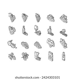 grape wine bunch fruit green isometric icons set. leaf vine, fresh food, red vineyard, grapevine juice berry, purple organic plant grape wine bunch fruit green color line