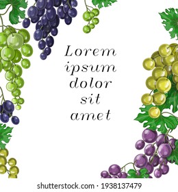 Grape, wine design template. Hand drawn vector illustrations of grapes berries of different varieties and colors. Banner in cartoon style. Stock vector illustration