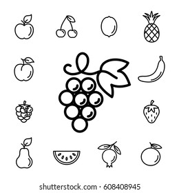 grape wine fruit with leaf line icons set black on white