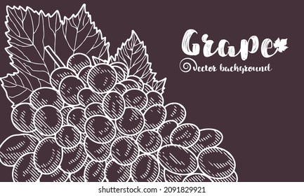 Vino de uva, uva y vid - ilustración vectorial grabada. Ropa vintage de uvas