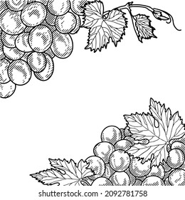 Vino de uva, uva y vid - ilustración vectorial grabada. Ropa vintage de uvas