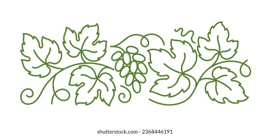 Grape wine line floral ornament. Grape branches and leaves. Editable outline stroke. Vector line.