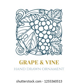 Grape and wine ornament.  Hand drawn grape and vine engraving style illustration. 
Bunch of grapes sketch drawing.