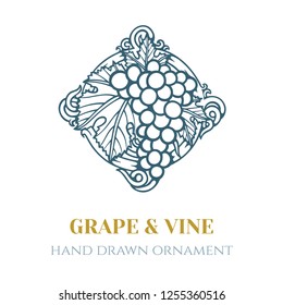 Grape and wine ornament.  Hand drawn grape and vine engraving style illustration. 
Bunch of grapes sketch drawing.