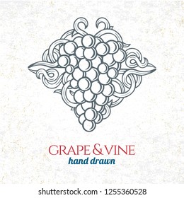 Grape and wine ornament.  Hand drawn grape and vine engraving style illustration. 
Bunch of grapes sketch drawing.