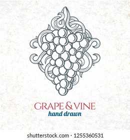 Grape and wine ornament.  Hand drawn grape and vine engraving style illustration. 
Bunch of grapes sketch drawing.