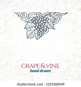 Grape and wine ornament.  Hand drawn grape and vine engraving style illustration. 
Bunch of grapes sketch drawing.