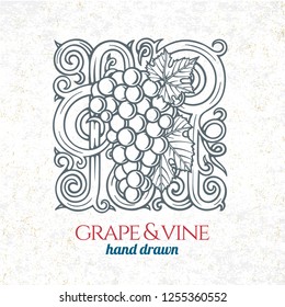 Grape and wine ornament.  Hand drawn grape and vine engraving style illustration. 
Bunch of grapes sketch drawing.