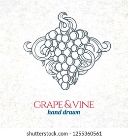 Grape and wine ornament.  Hand drawn grape and vine engraving style illustration. 
Bunch of grapes sketch drawing.