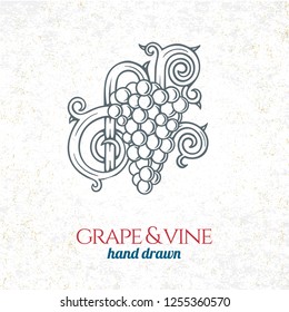 Grape and wine ornament.  Hand drawn grape and vine engraving style illustration. 
Bunch of grapes sketch drawing.