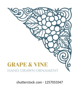Grape and wine ornament.  Hand drawn grape and vine engraving style illustration. 
Bunch of grapes sketch drawing.