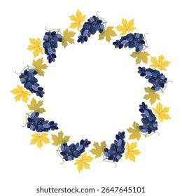 Druivenkrans. Blauwe druif oogst cirkel frame. Herfst rond frame met rijpe trossen druiven voor wenskaarten, uitnodigingen, ansichtkaarten en verpakkingsontwerp. Vectorontwerp geïsoleerd op wit.