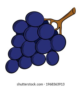 uva, baya en un estilo lineal. Elemento decorativo vectorial colorido, dibujado a mano.