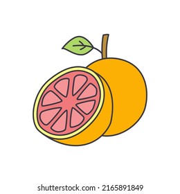 Grapefrui fruit icon in color, isolated on white background 