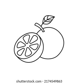 Icono de fruta grapefrui en icono de estilo de línea, aislado en fondo blanco