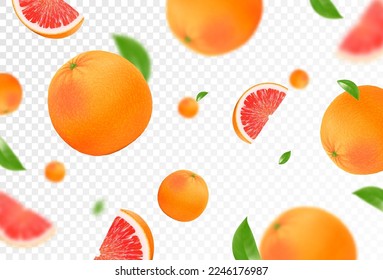 Grapefruit background. Flying grapefruit with green leaf on transparent background. Citrus falling from different angles. Focused and blurry objects. Realistic 3d vector illustration