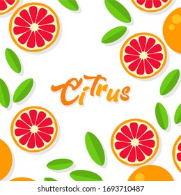 Grapefruit background. Orange tangerine grapefruit lemon lime on a white background. Vector illustration of summer fruits and citrus. Citrus icons silhouettes. Cute painted grapefruits. Tropical fruit